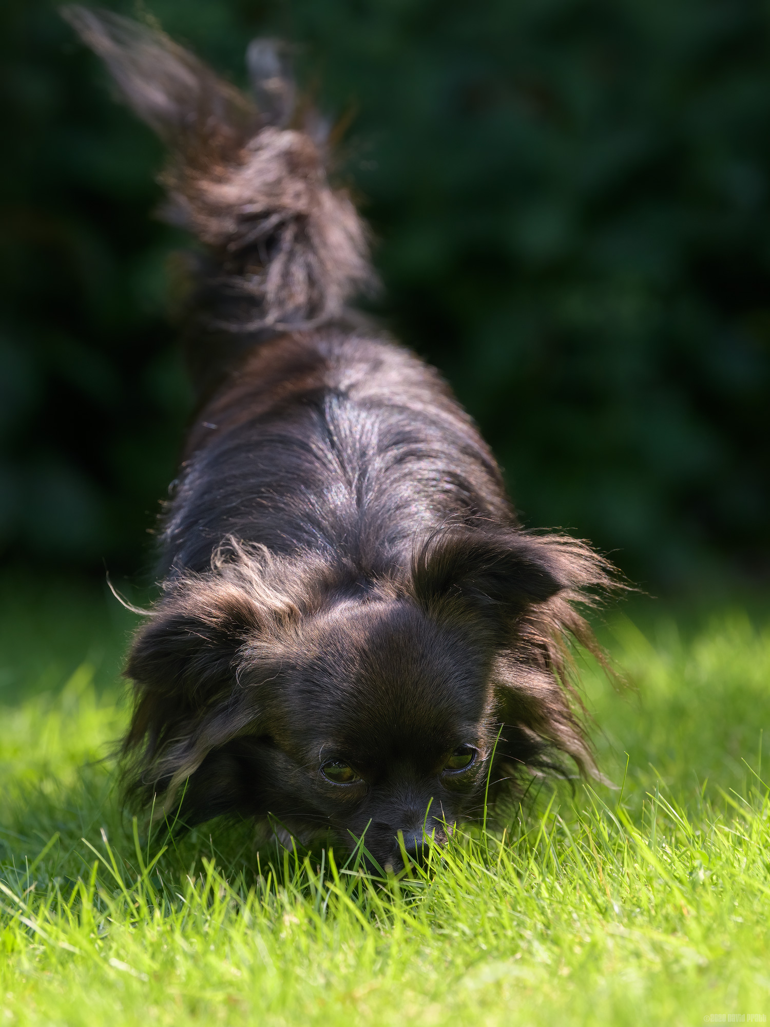 Snuffling For Truffles