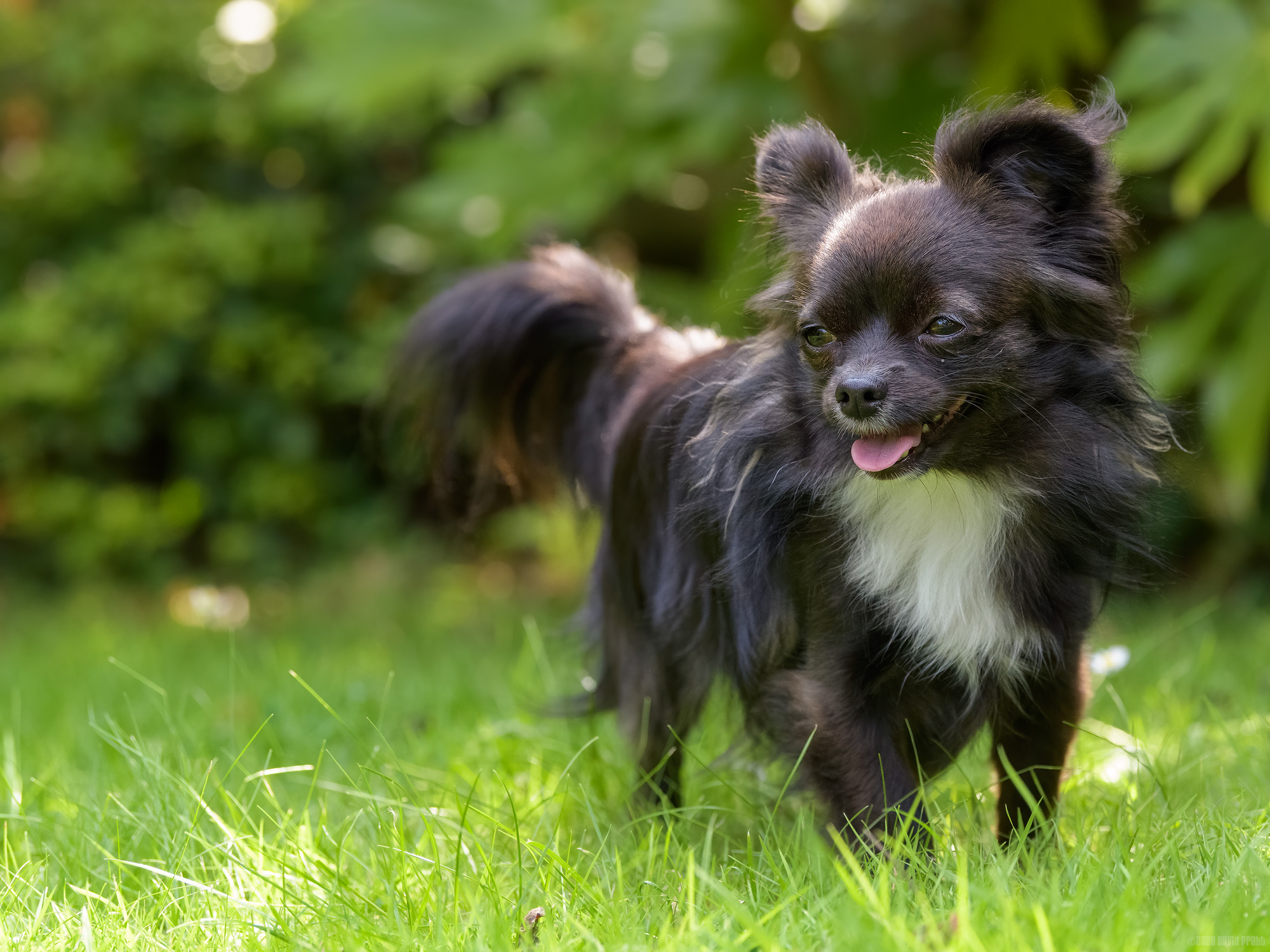 Squinting In The Sun