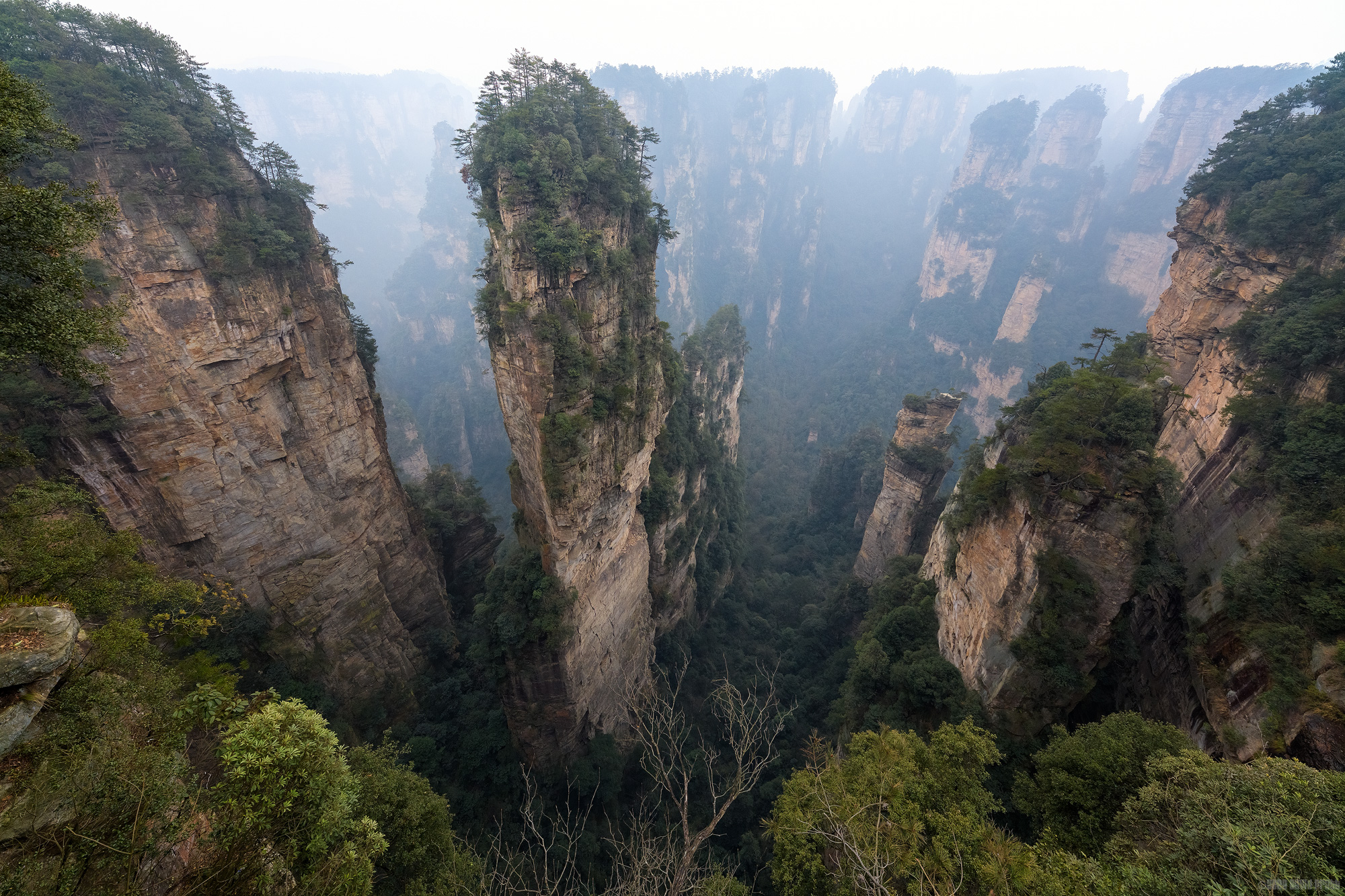 The Undiscovered Country