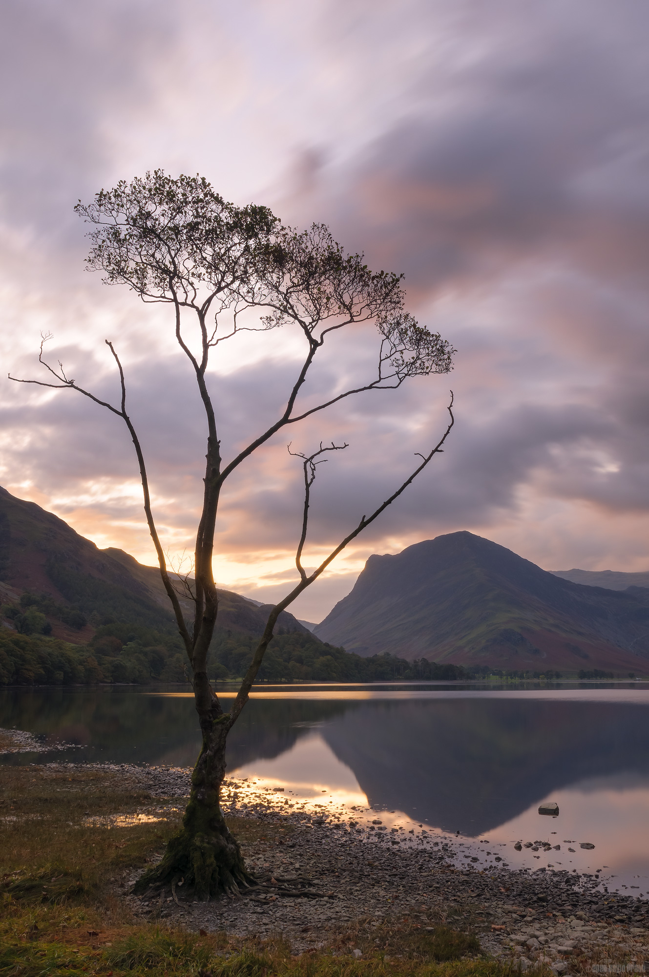 When The Leaves Have Almost Gone