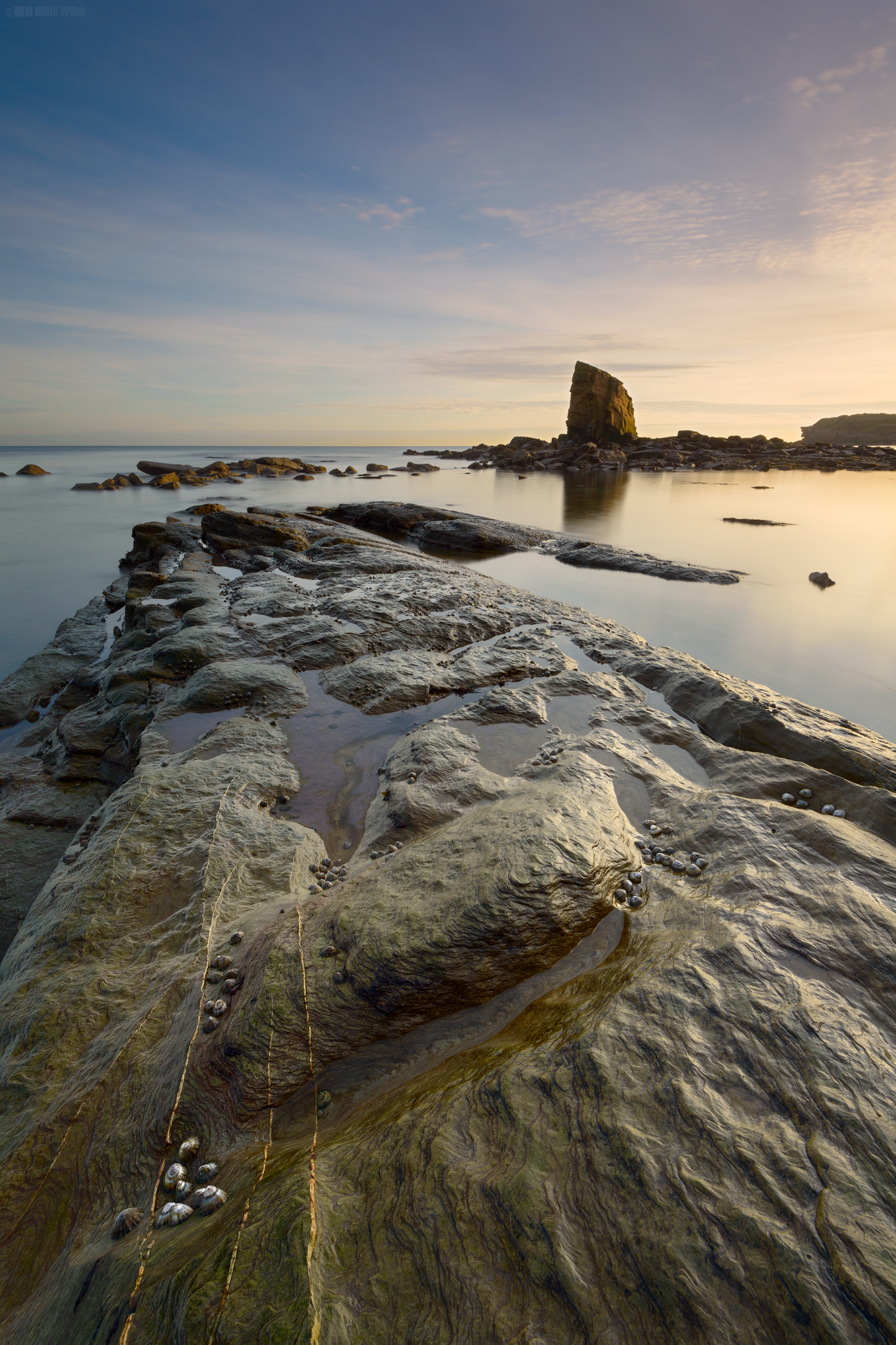 Charlie In TheMorning