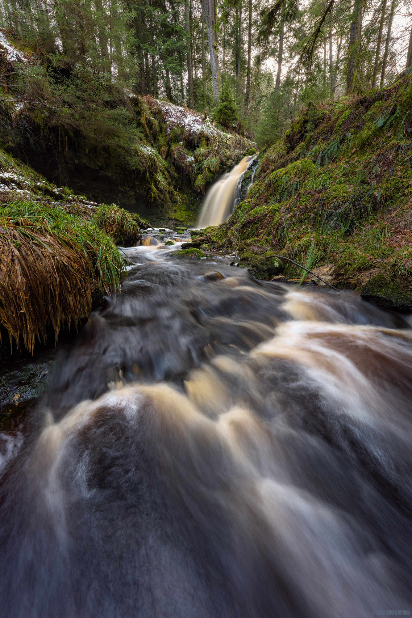 Memories Of Winters Past