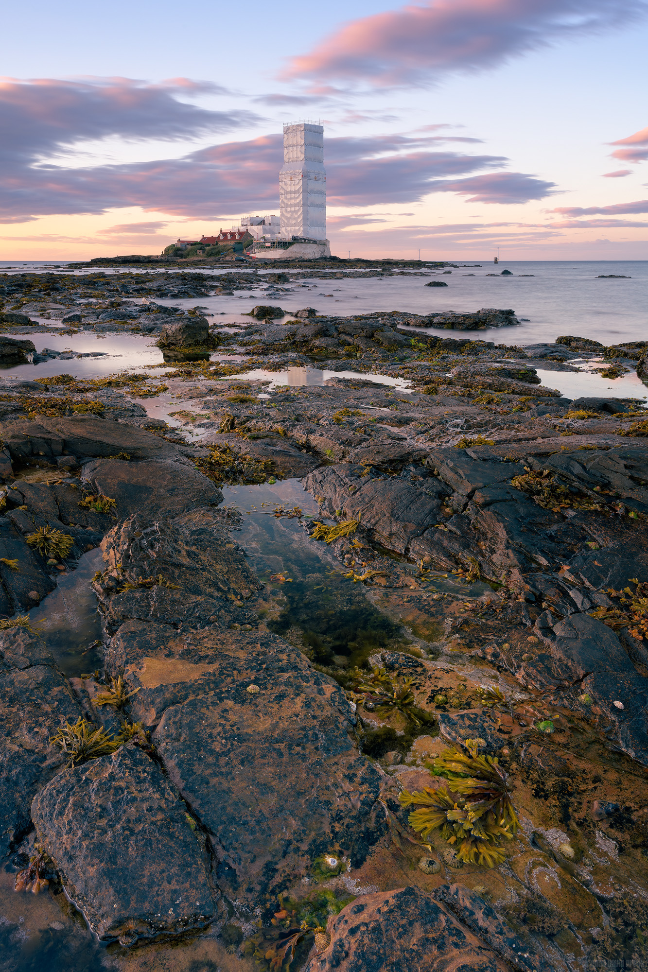 Covered In Scaffolding