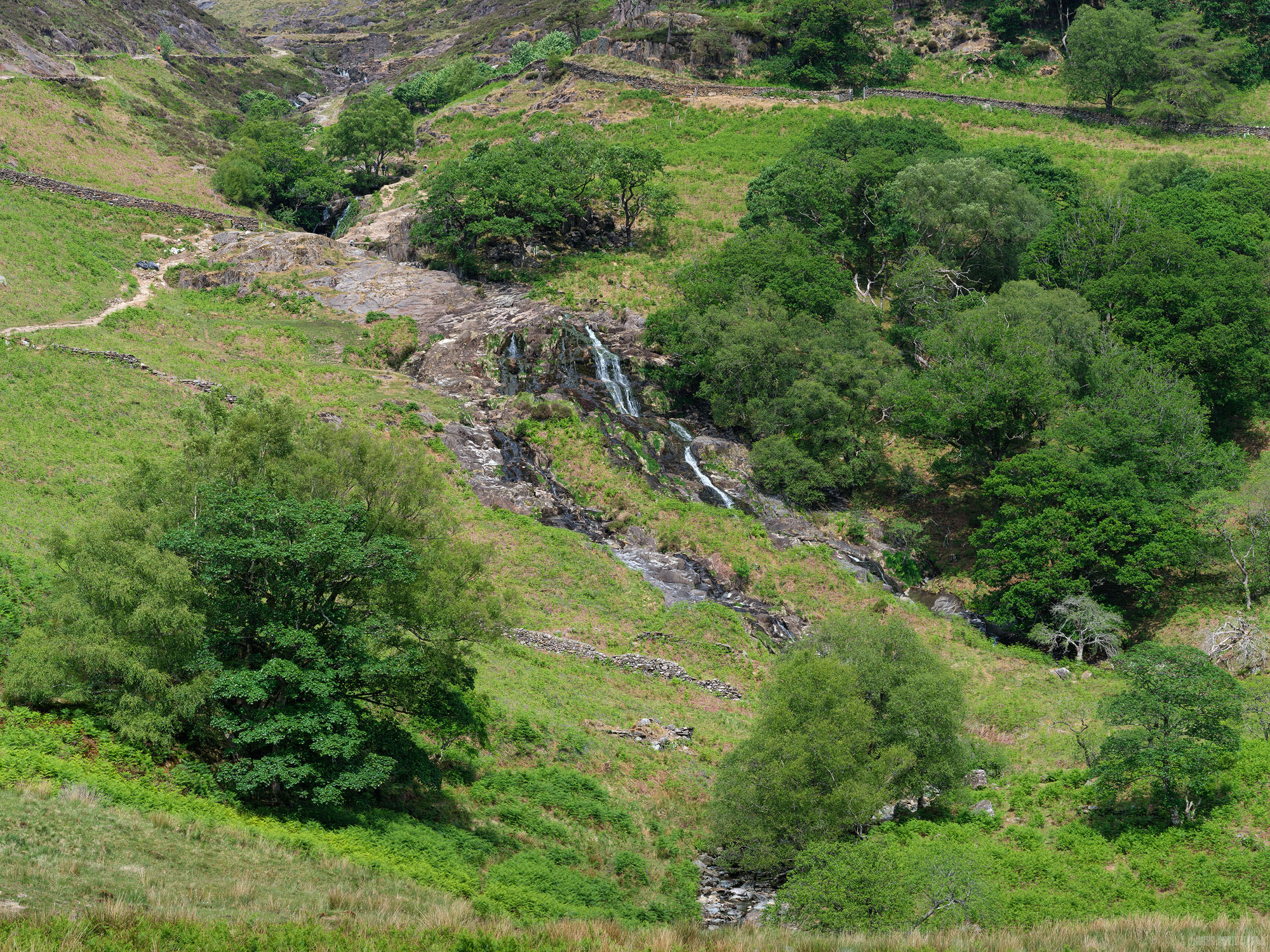 Lower Slopes Of The Watkin Path