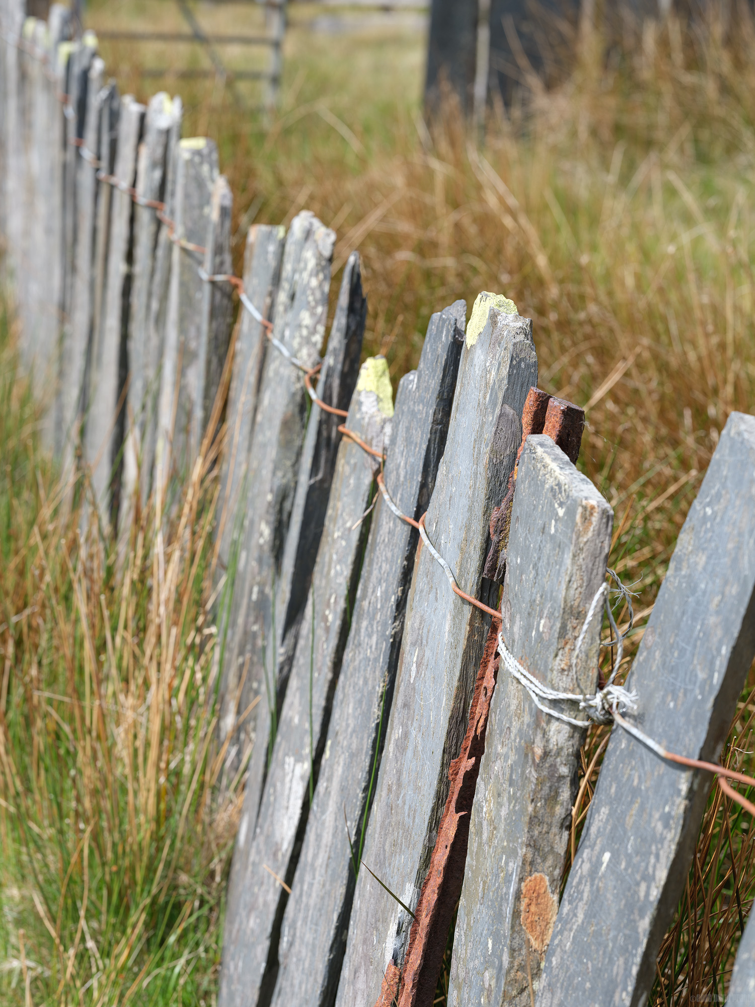 Rusty Steel Among The Slate