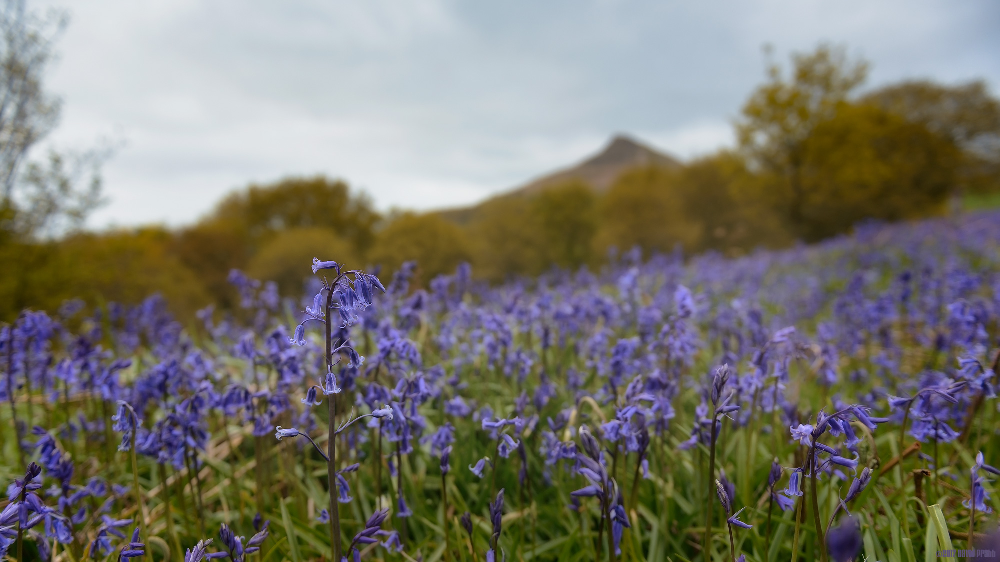 Roseberry Topping