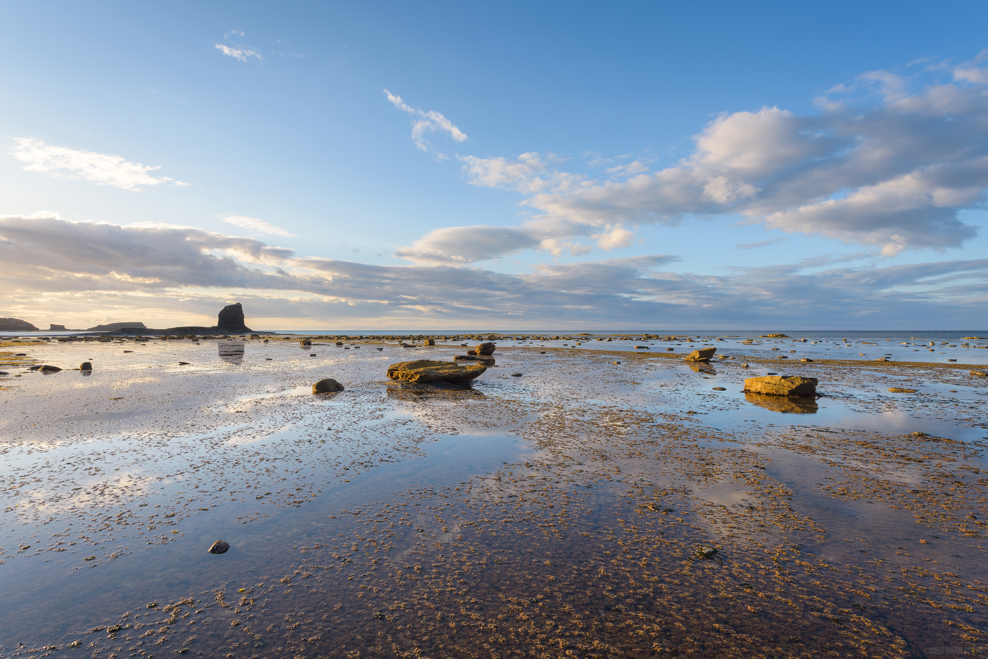 A Moment Of Quiet Reflection