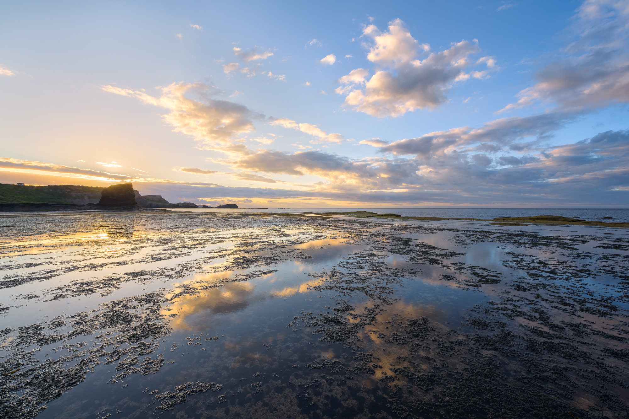 Here Comes The Night