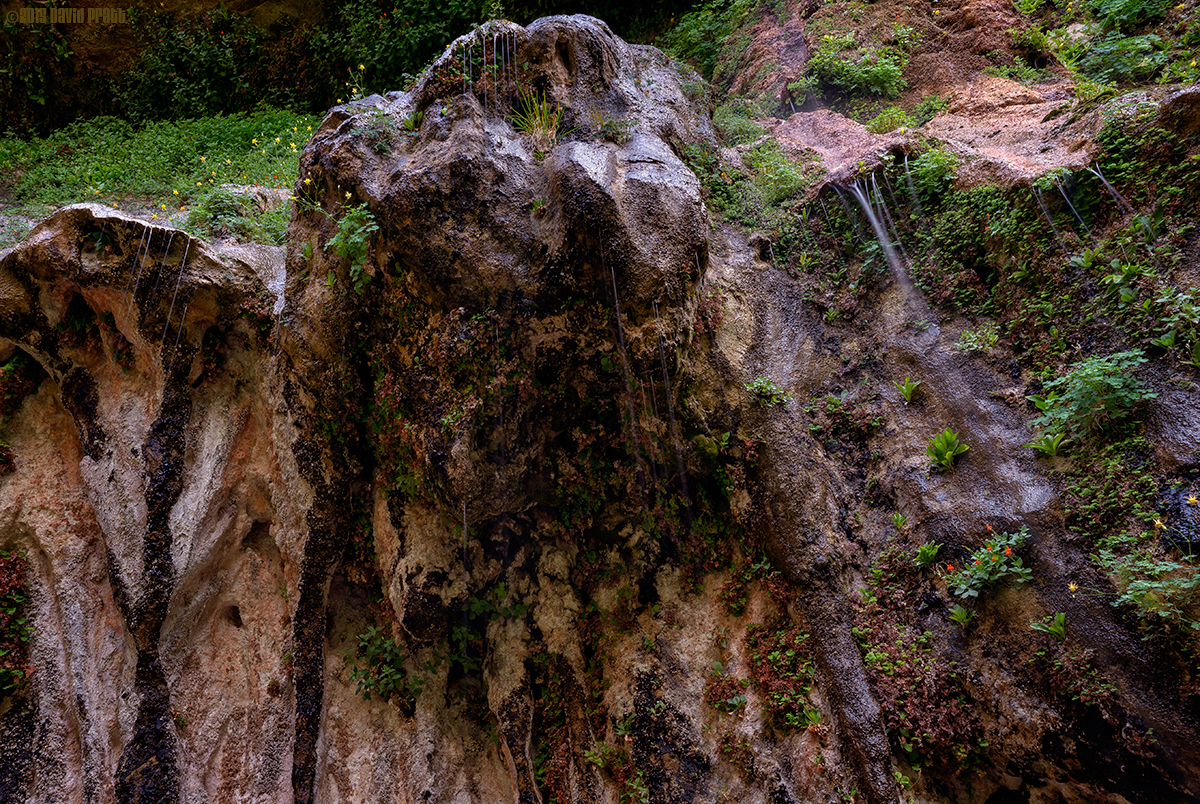 Weeping Rock