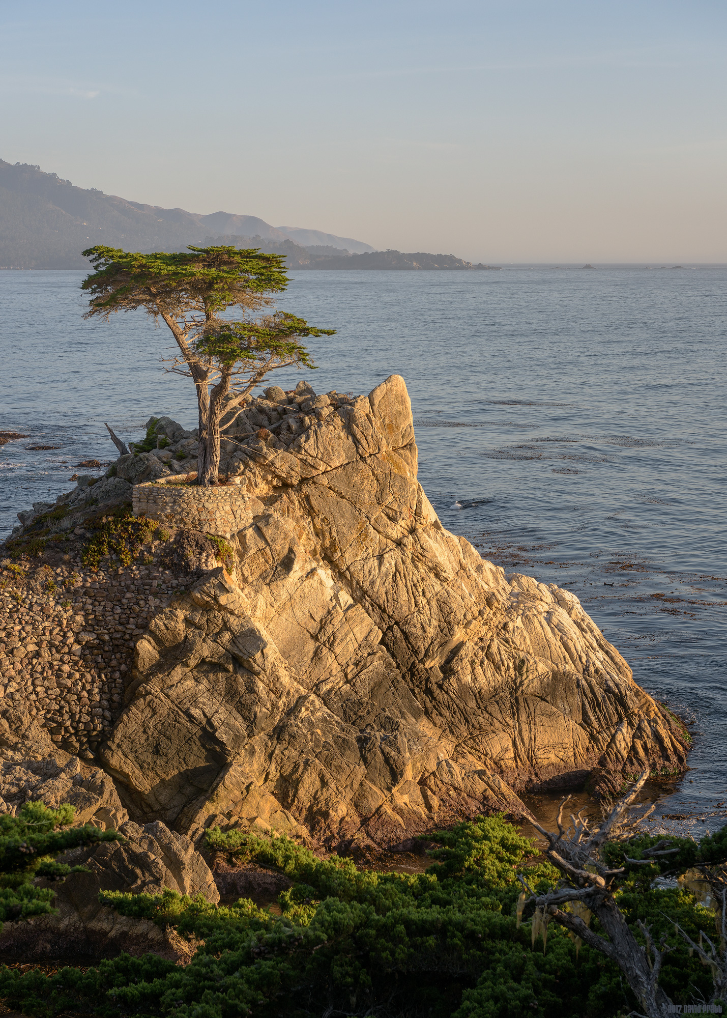 Rugged Individualism