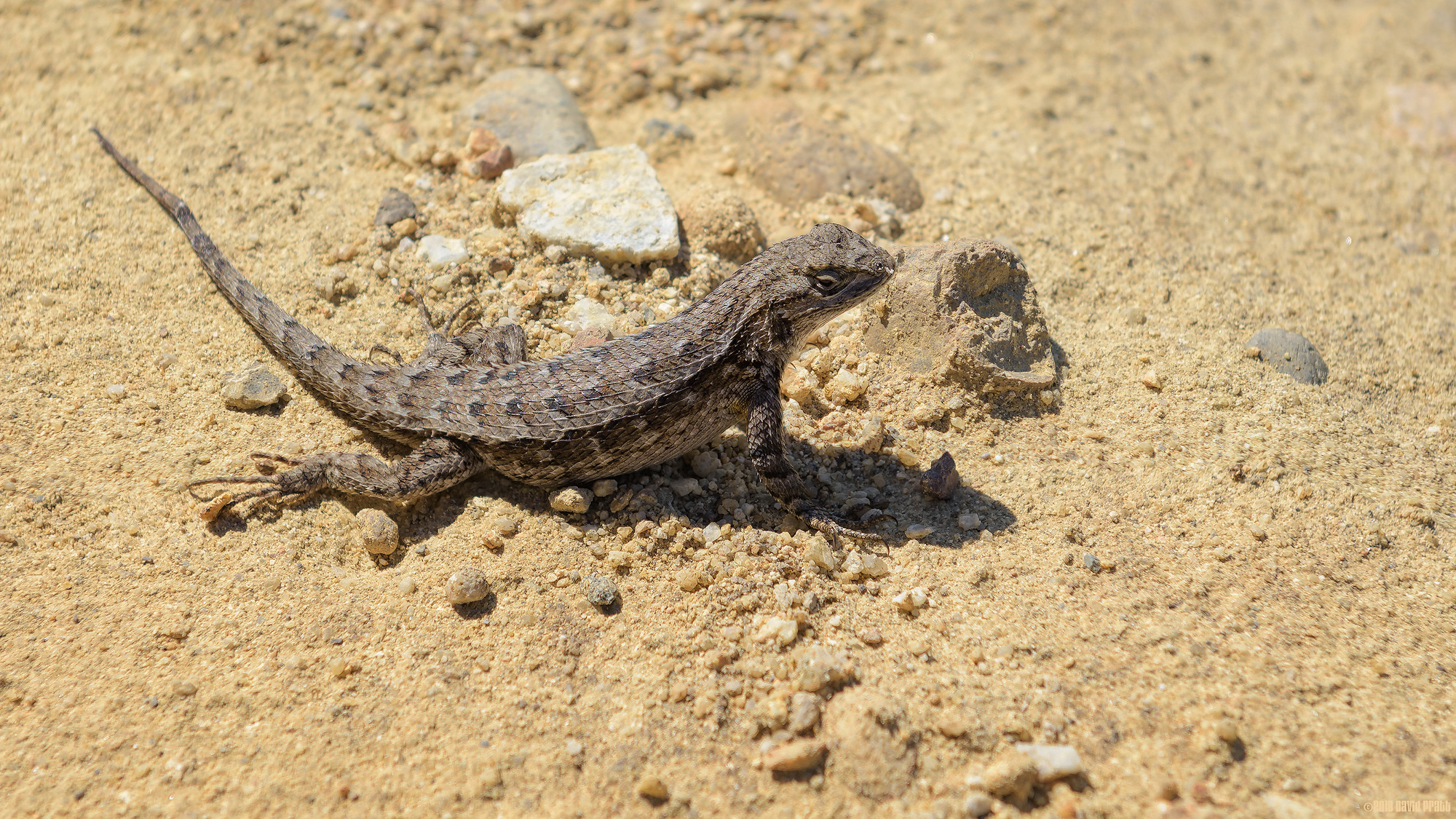 Warming Up In The Sun