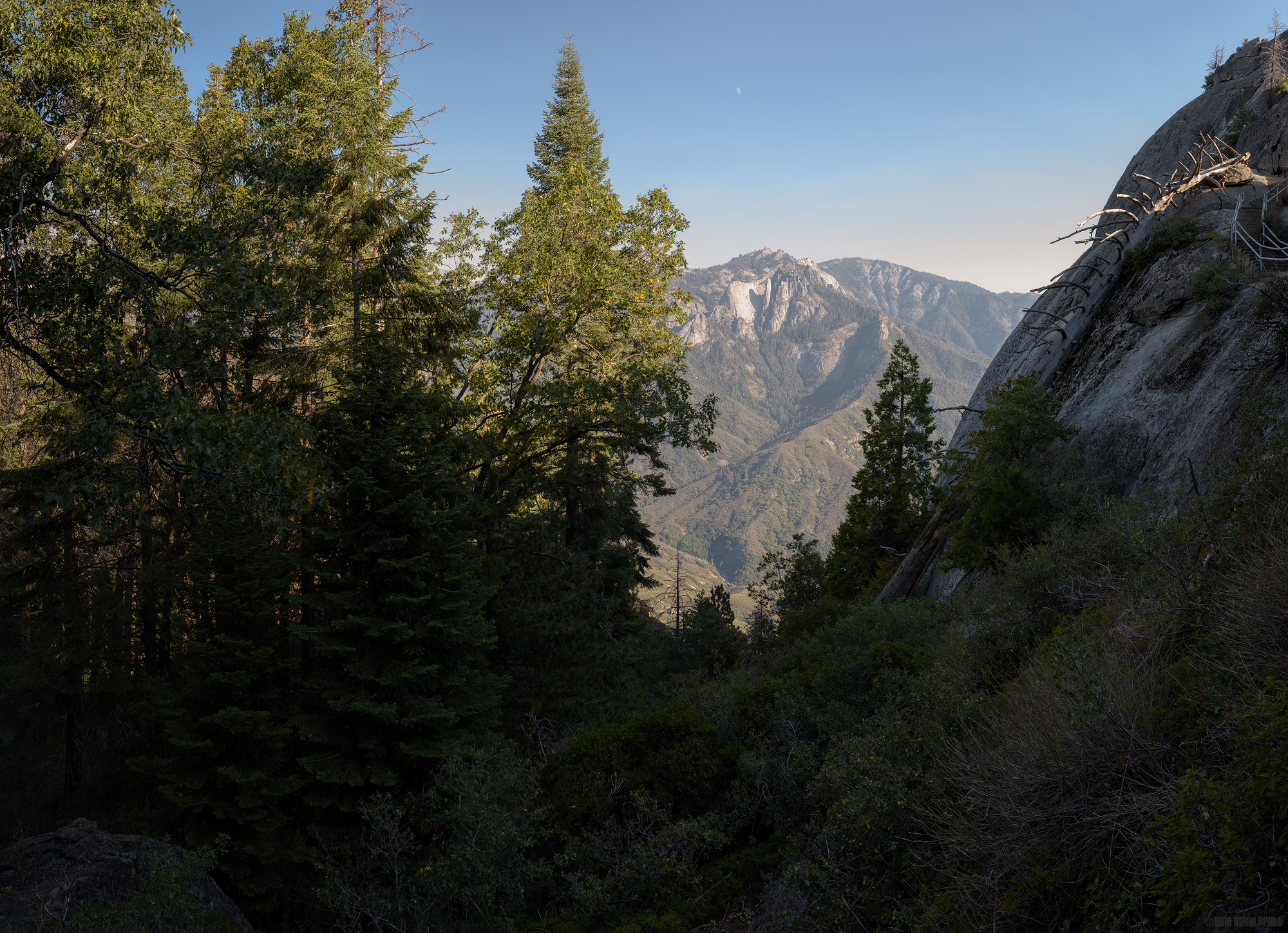 Castle Rocks Through The Trees