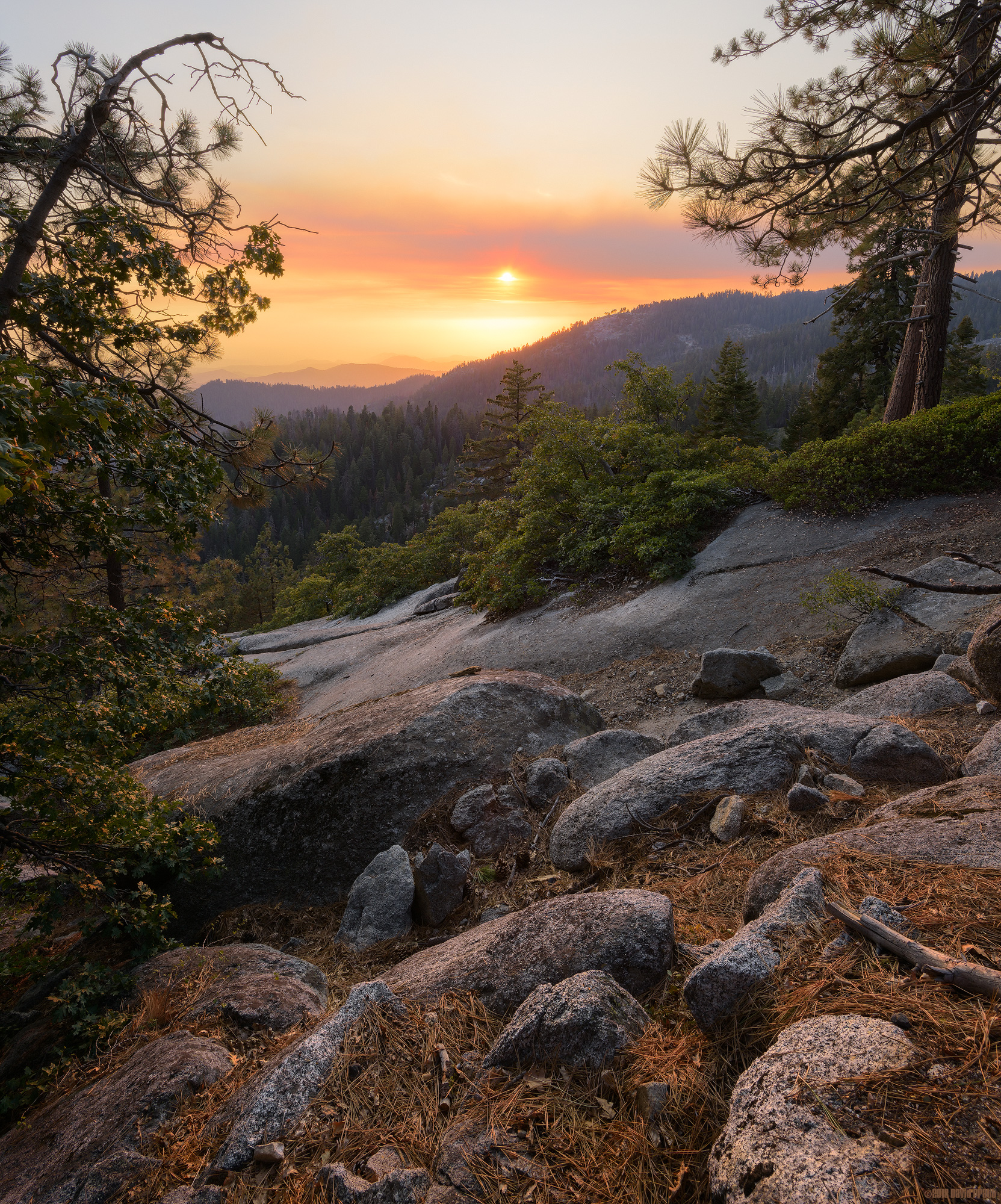 Sequoia National Park