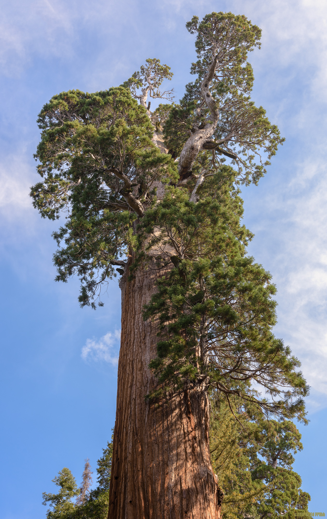 The Top of General Grant