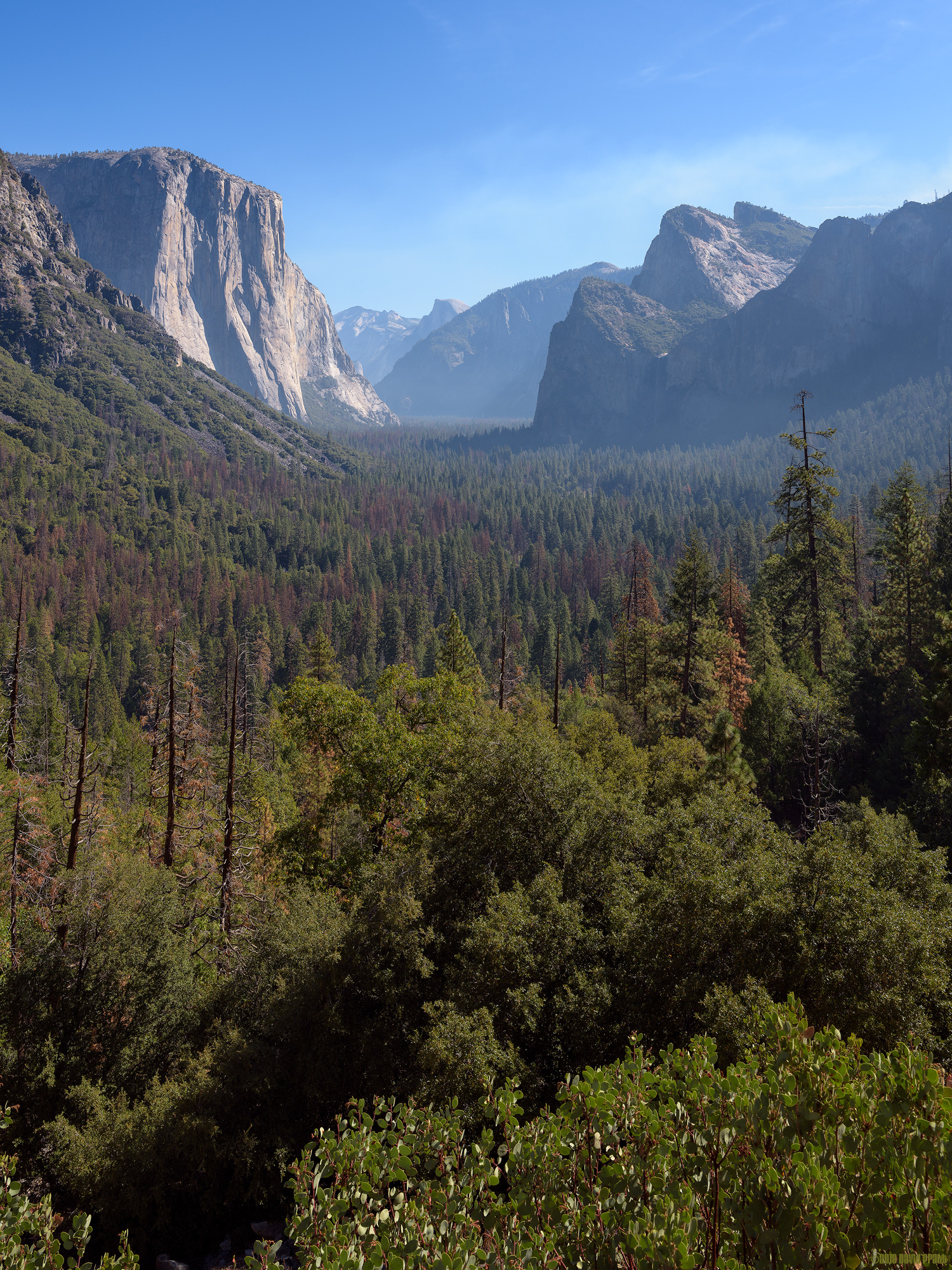 Straight Down The Tunnel
