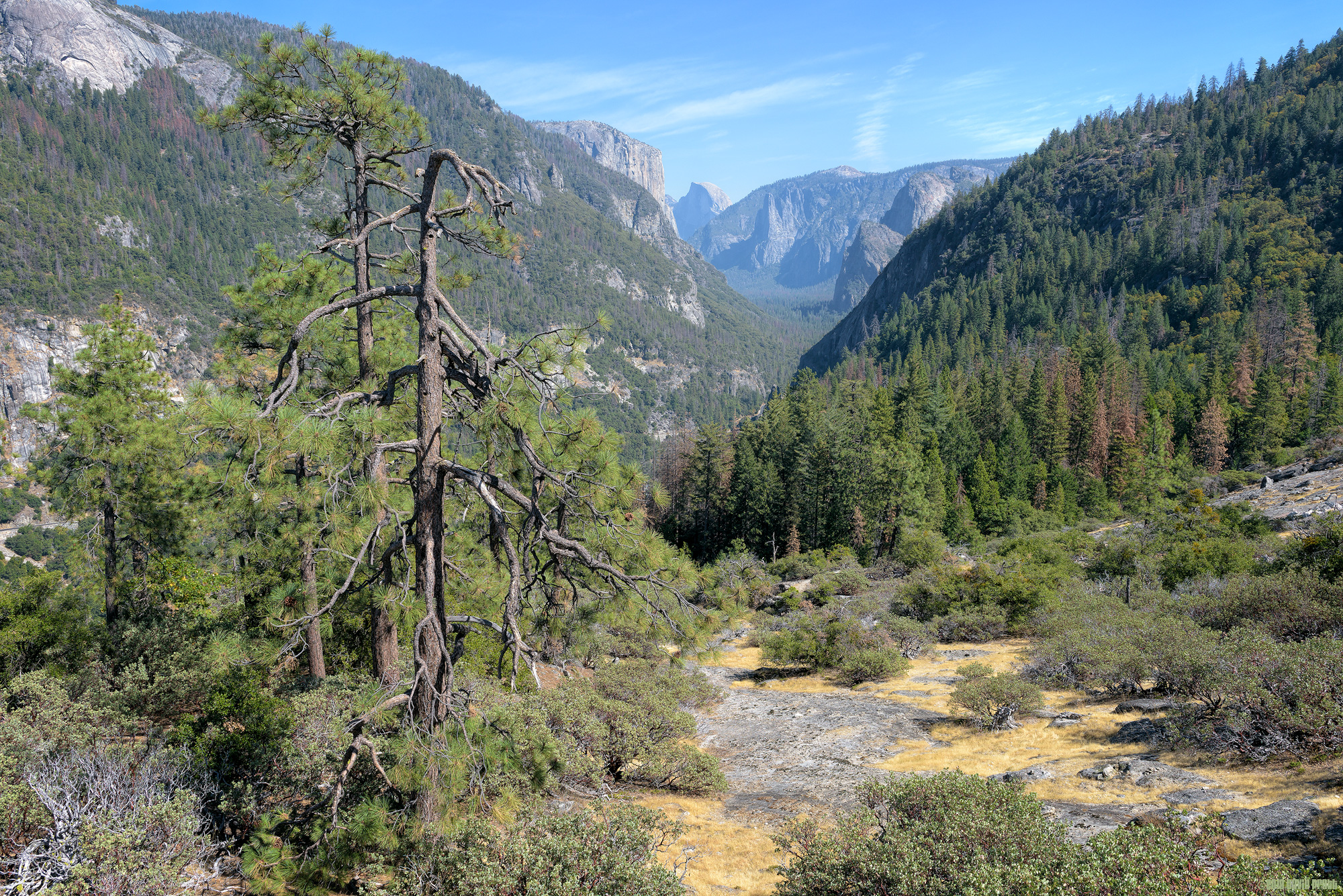 Wilderness Playground