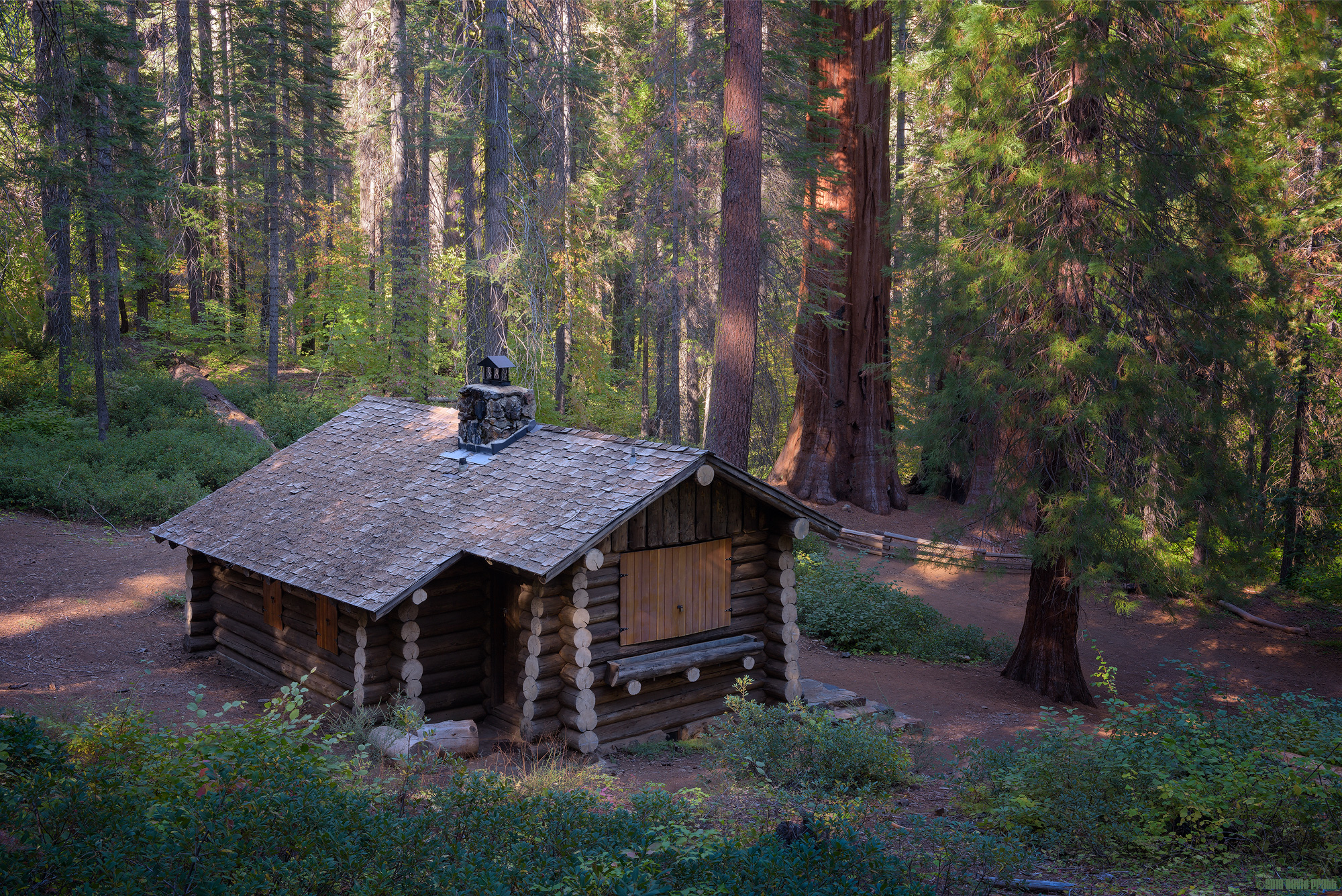 The Cabin In The Woods