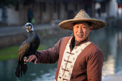 A Man And His Cormorant