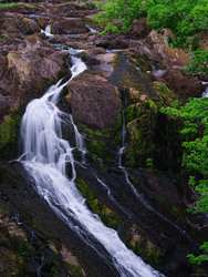 Branches Of The Main Cascade