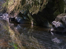 Streaks In The Reflection