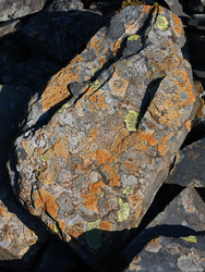Slate and Lichen III