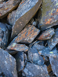 Slate and Lichen IV
