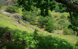 Watkin Path Waterfall