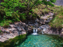 Small Fall In The Shade