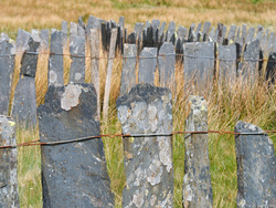 Slate and Steel Wire