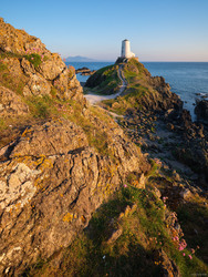 Warmed By The Evening Sun